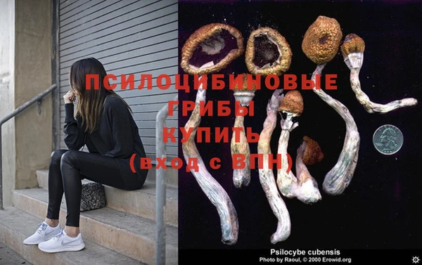 шишки Богородицк