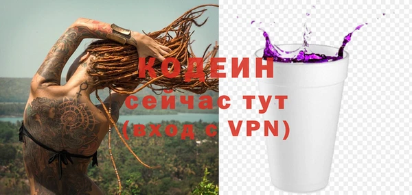 шишки Богородицк
