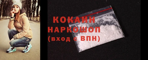 шишки Богородицк
