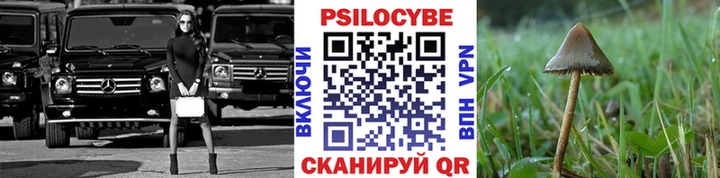 что такое наркотик  Щигры  ОМГ ОМГ вход  Псилоцибиновые грибы Psilocybine cubensis 