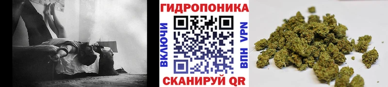 blacksprut ONION  Щигры  Конопля Amnesia 
